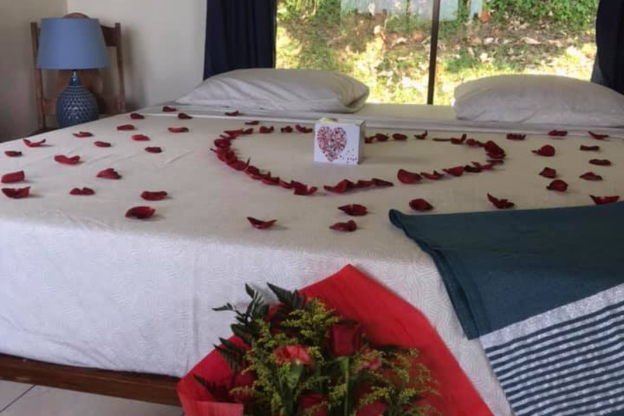 BALLENA PARAISO LODGE