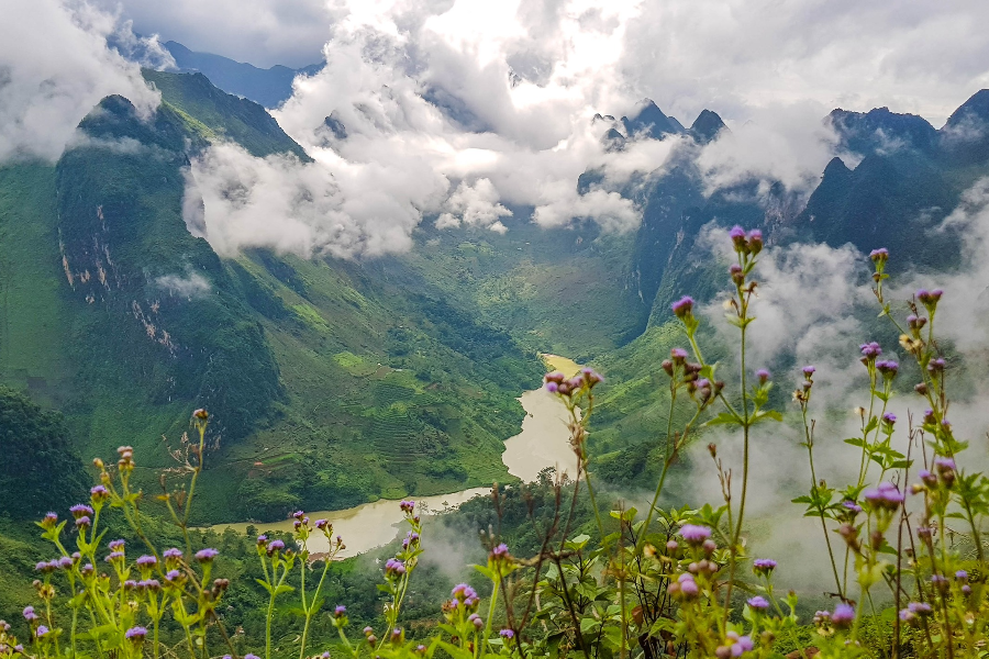 VIETNAM DRAGON TRAVEL