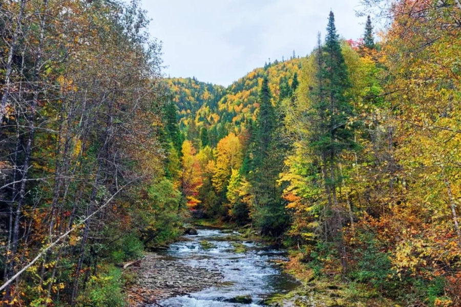  - ©DESTINATION GASPÉ