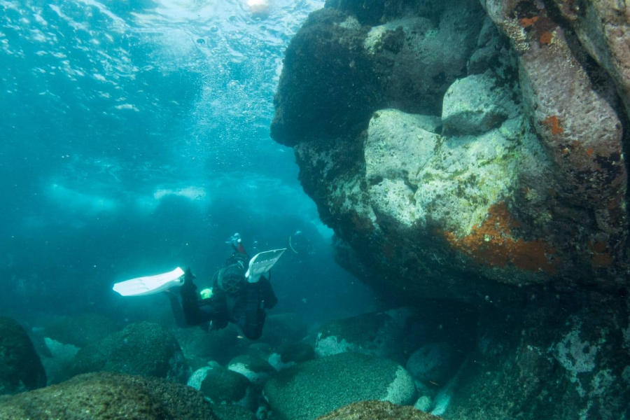 JONIO PRO-DIVE CATANIA