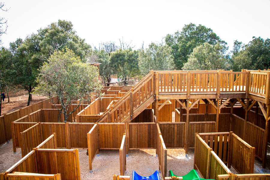 MAD MAZE