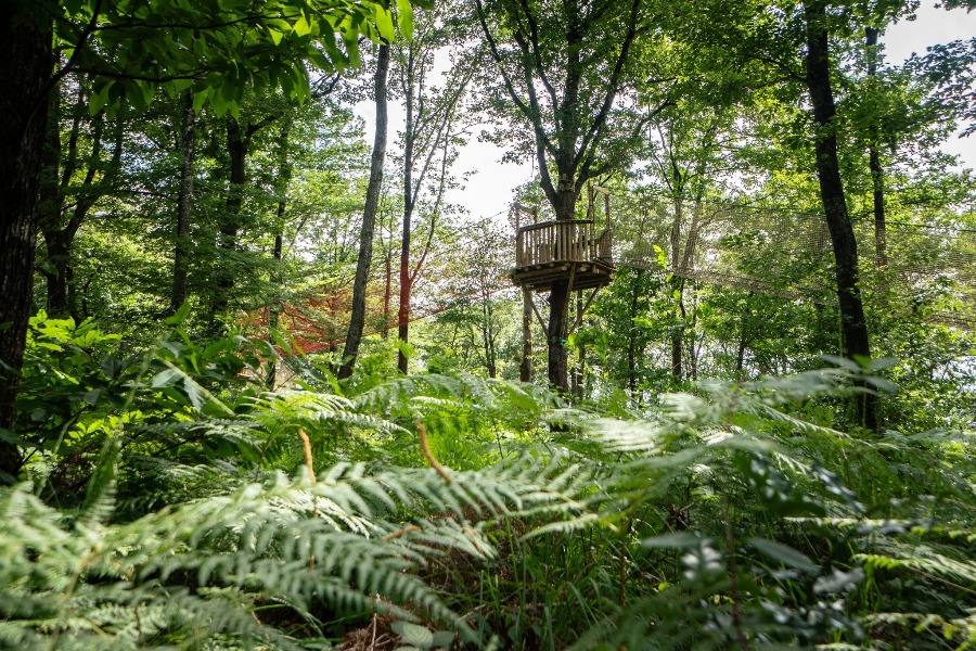 WOOD PARC