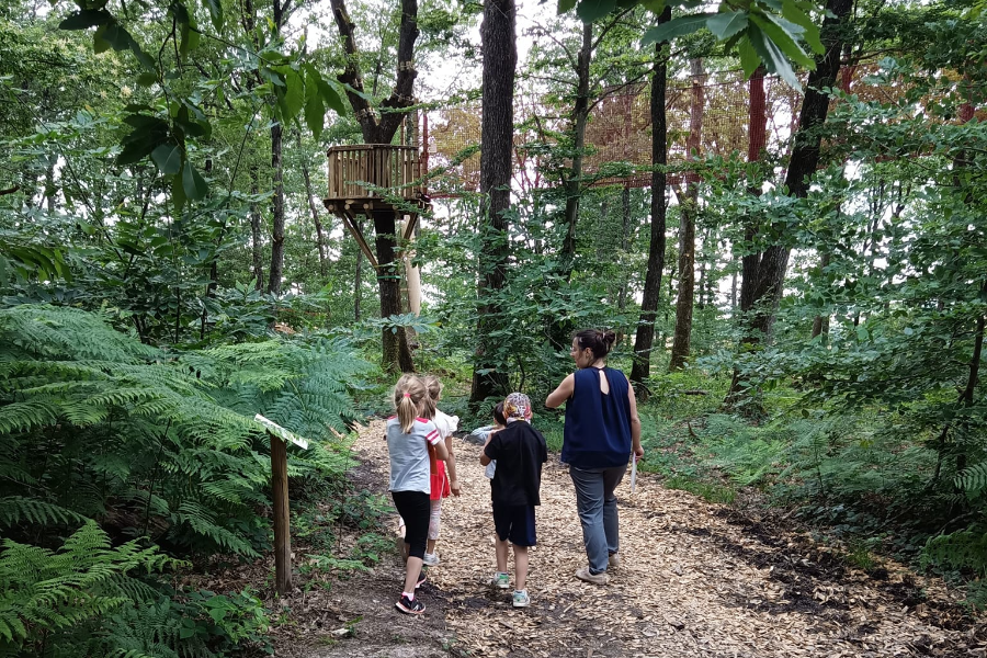 WOOD PARC