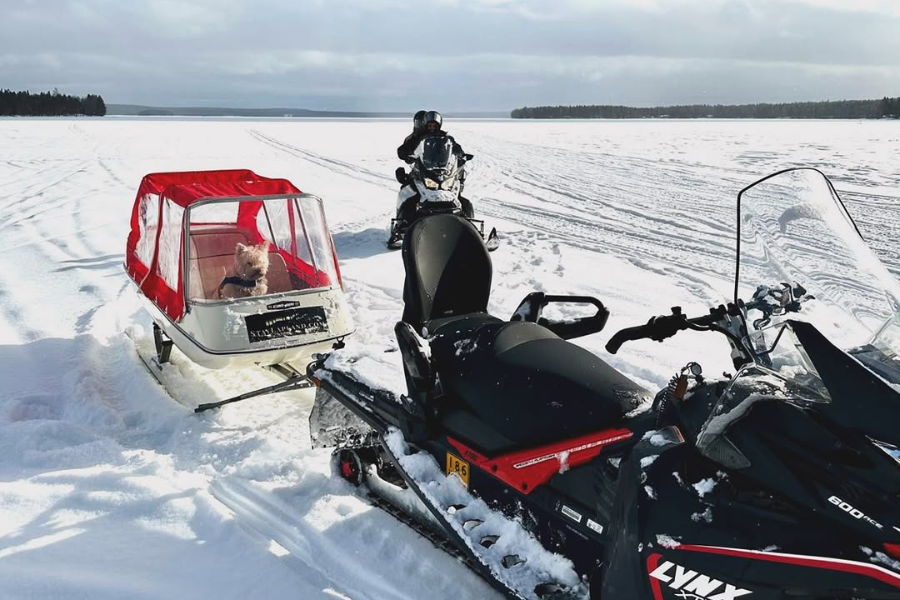 STAY LAPLAND