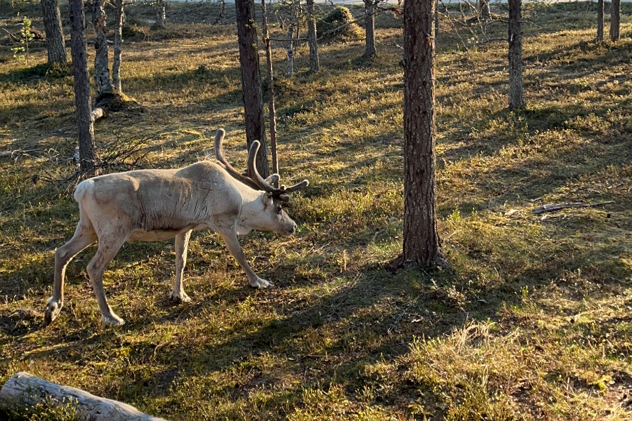 Private nature tours