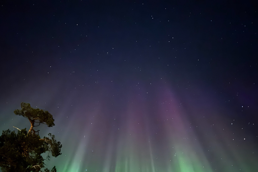 Aurora Tours by car and boat