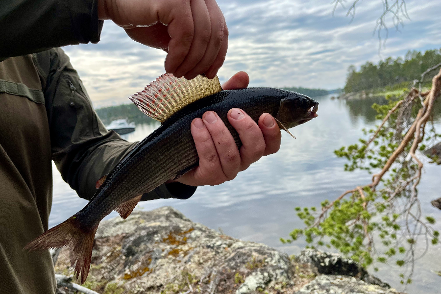 Fishing trips - tailored for you
