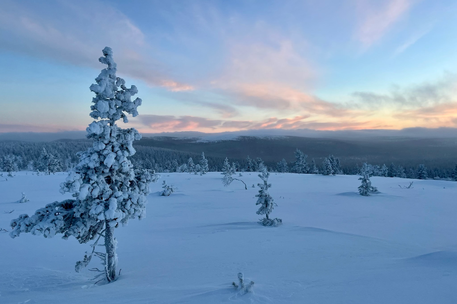 Private snowshoeing & national park walks