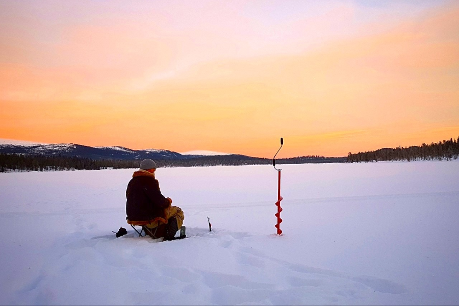 XWANDER NORDIC