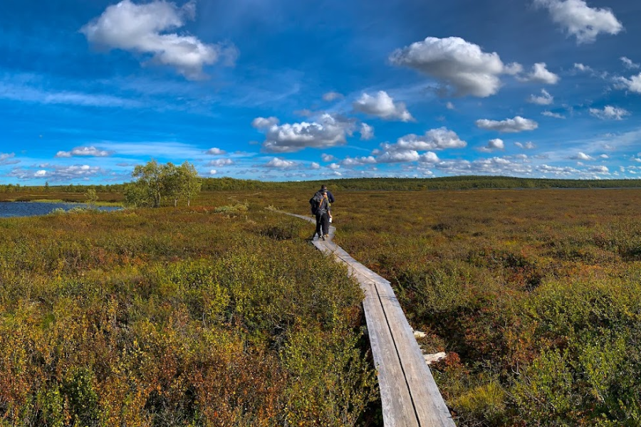 XWANDER NORDIC