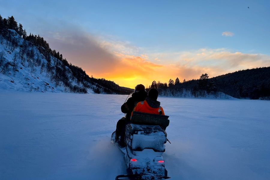 XWANDER NORDIC