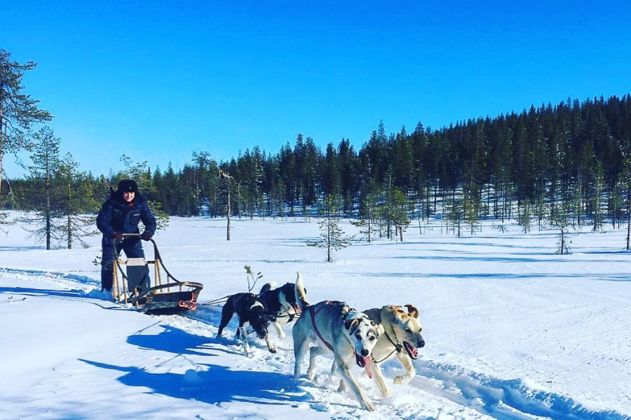XWANDER NORDIC
