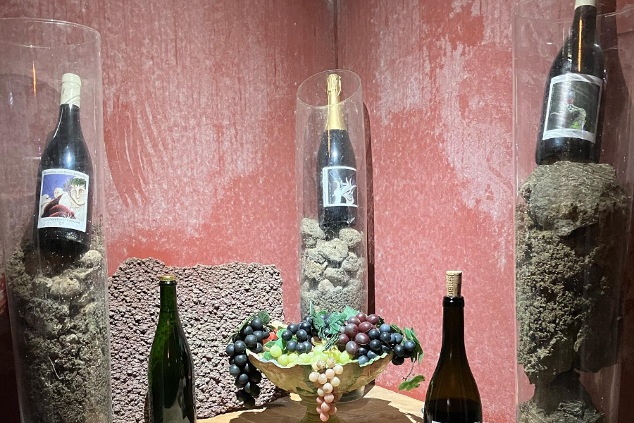 LA CAVE DE MONTALBAN