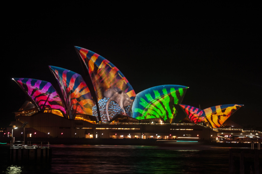 Sydney princess cruises