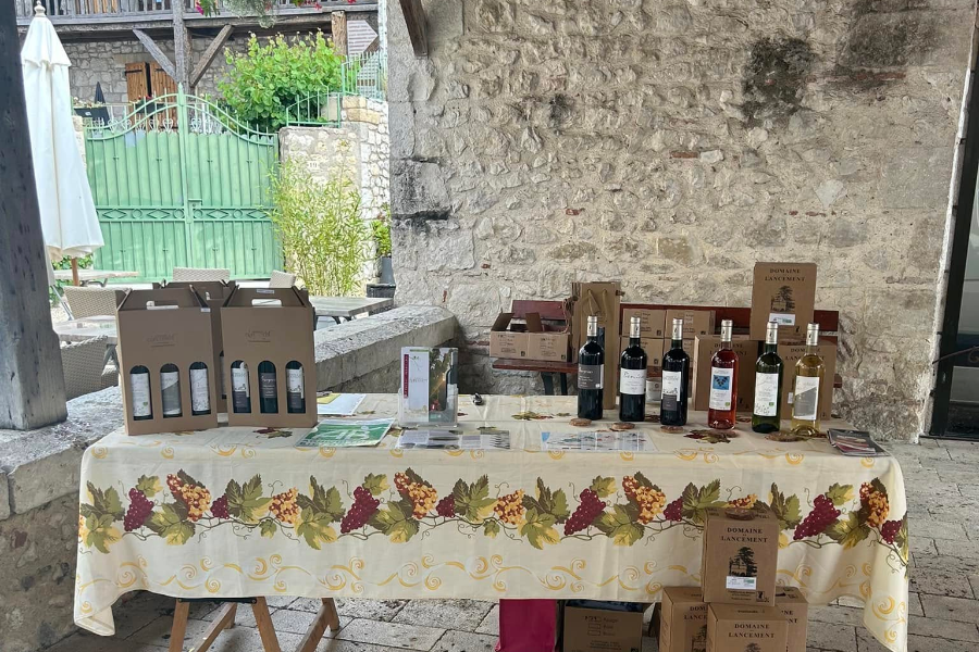 DOMAINE DU LANCEMENT