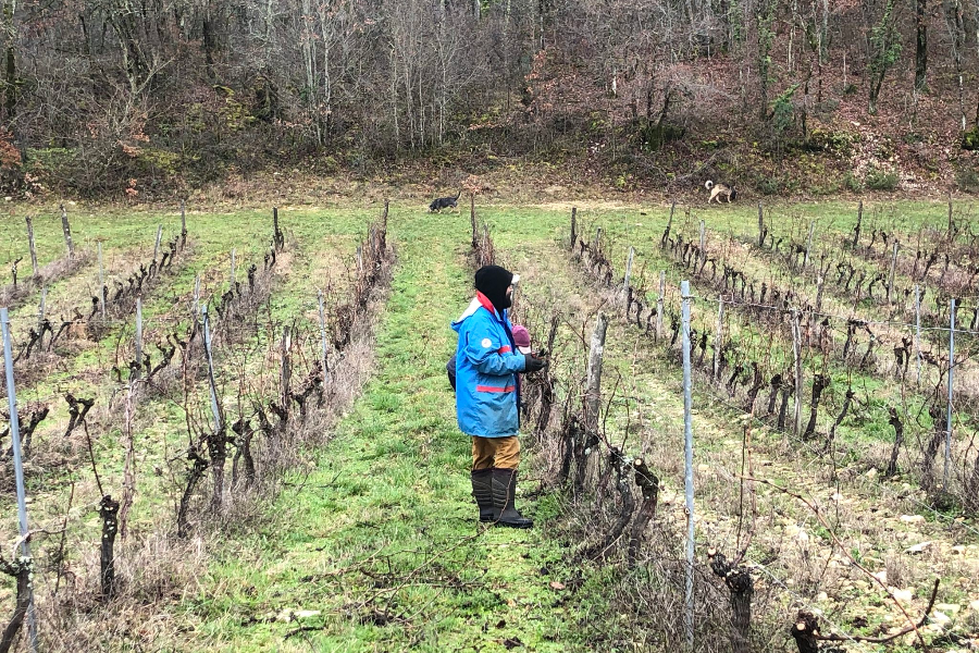 DOMAINE DU LANCEMENT