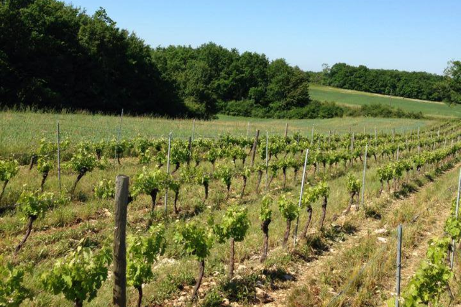 DOMAINE DU LANCEMENT
