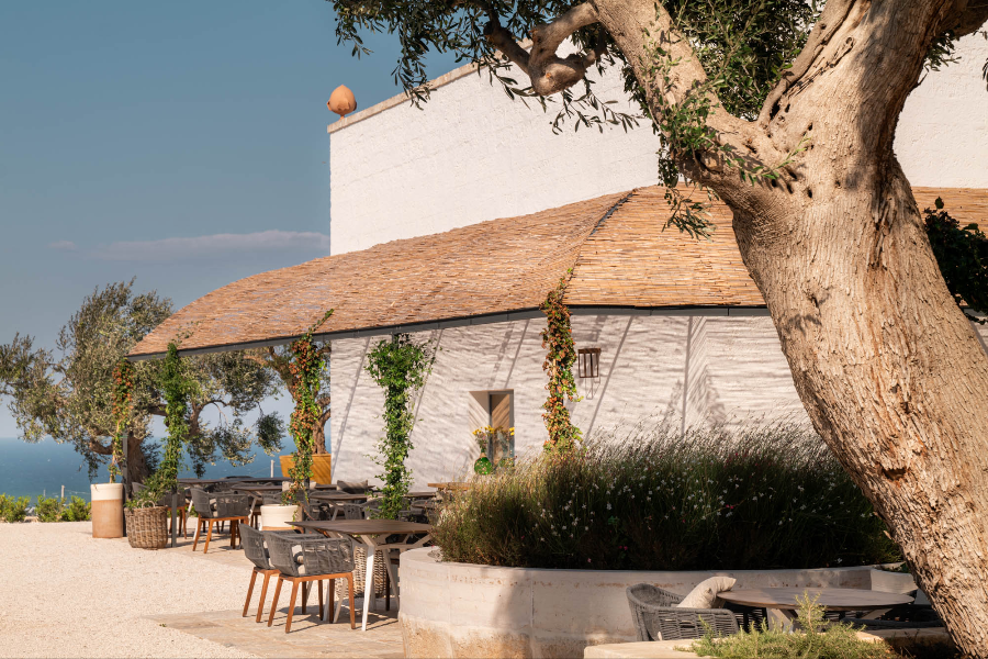 MASSERIA AURATERRAE