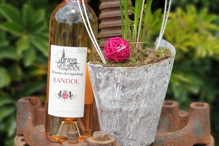 DOMAINE DU CAGUELOUP