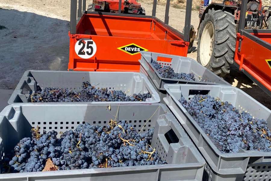 DOMAINE ROUGIER