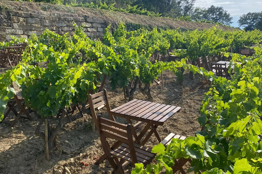 DOMAINE ROUGIER