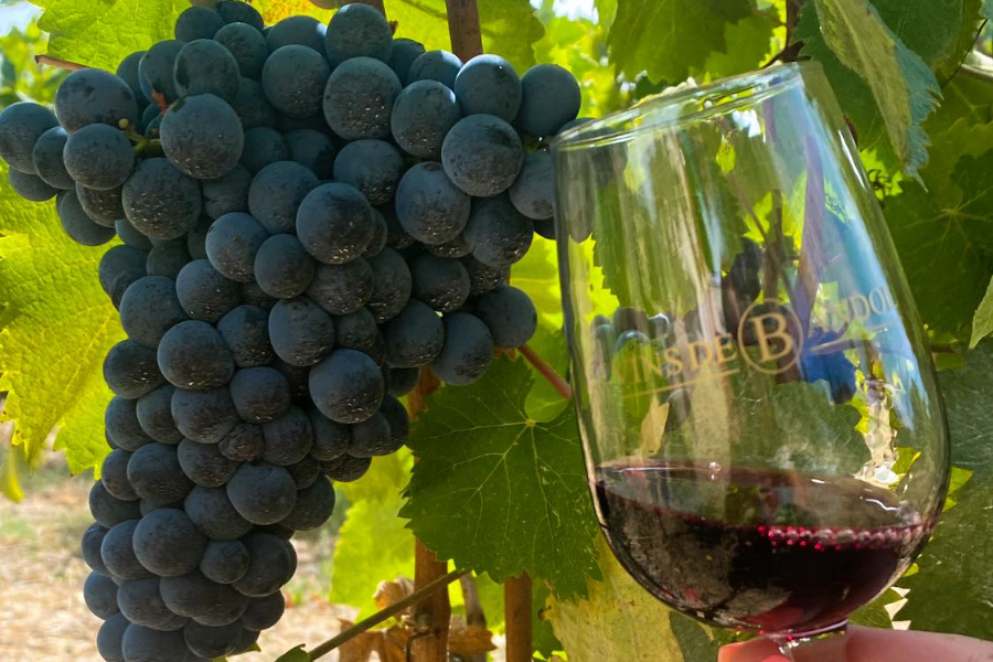 DOMAINE ROUGIER