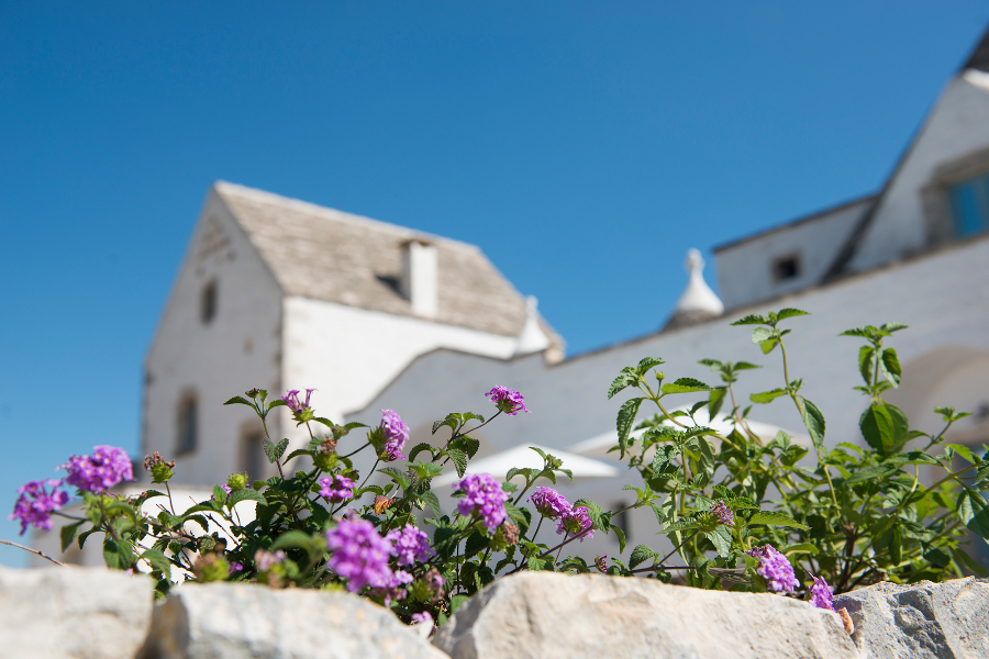 MASSERIA SERRALTA B&B