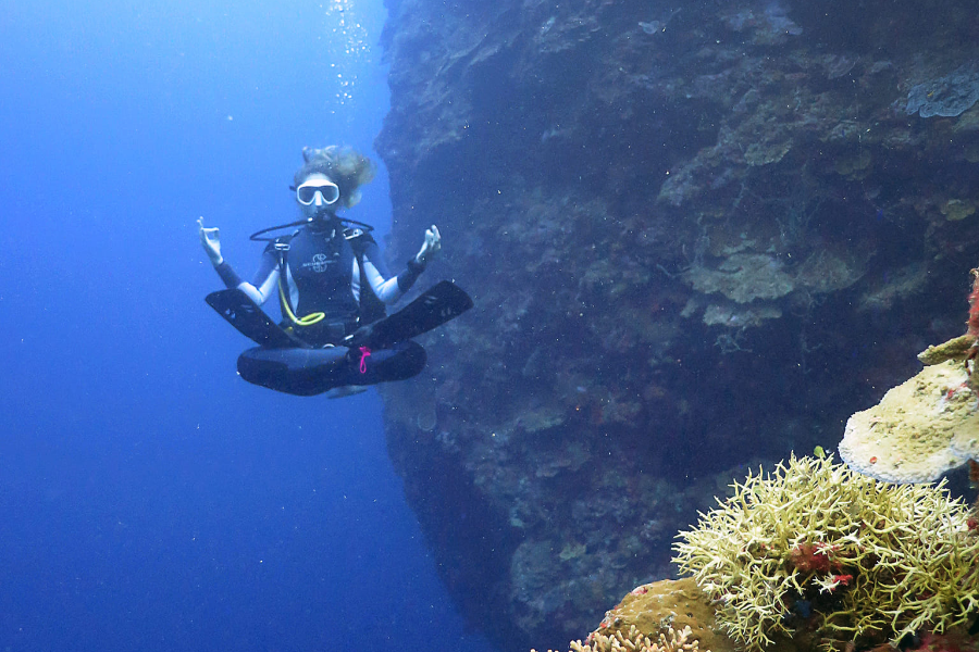 BOHOL DIVERS CLUB DIVE CENTER