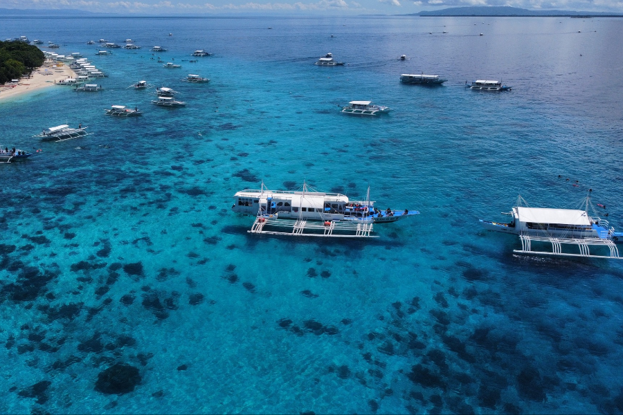 BOHOL DIVERS CLUB DIVE CENTER