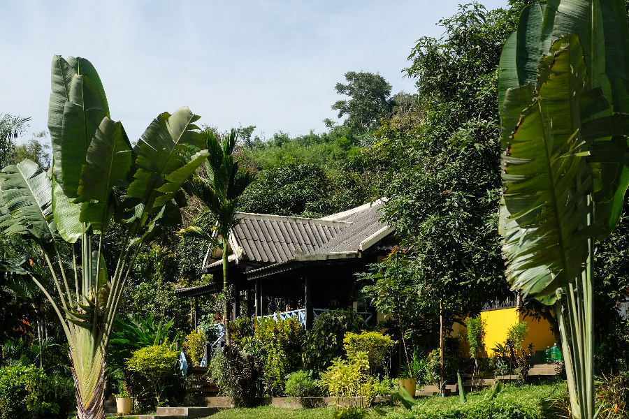 Hillside Nature Lifestyle Lodge