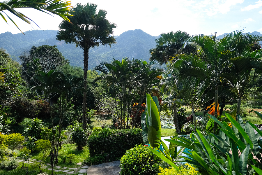 Hillside Nature Lifestyle Lodge