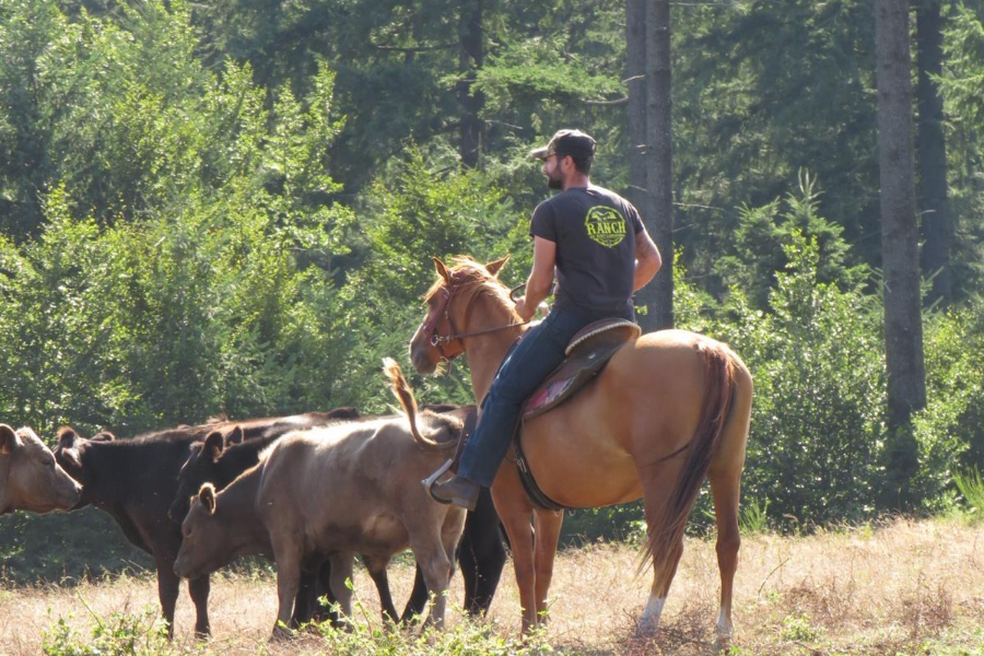 RANCH DU HAUT-LANGUEDOC