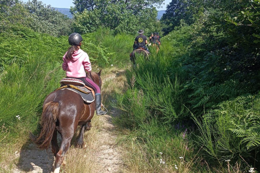 RANCH DU HAUT-LANGUEDOC