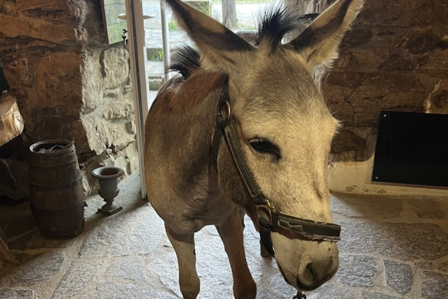 RANCH DU HAUT-LANGUEDOC