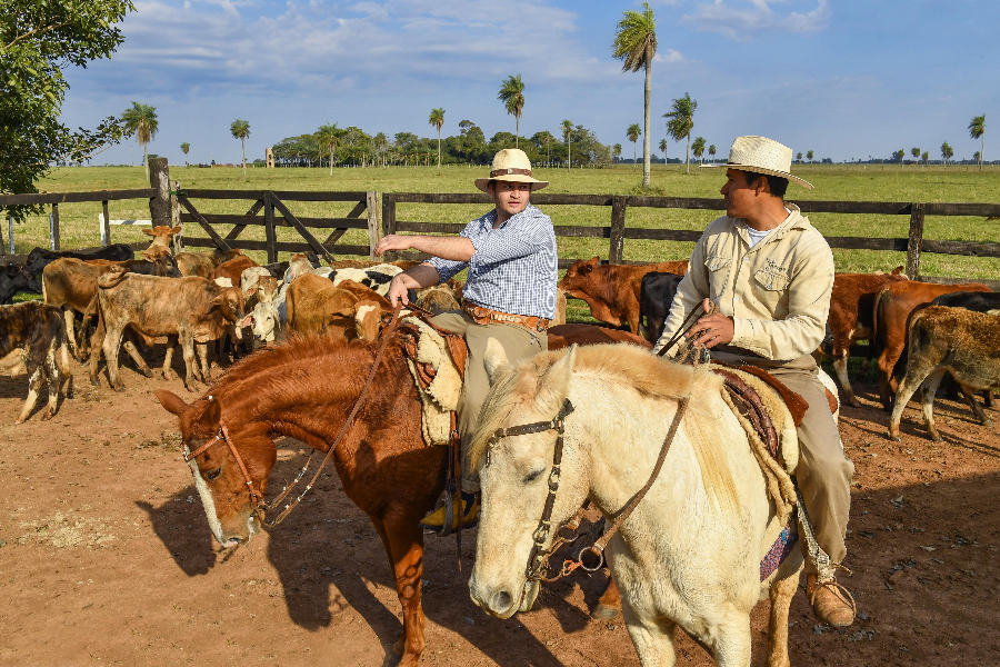 Séjour à l'estancia Tacuaty, région Yvy, sud du Paraguay