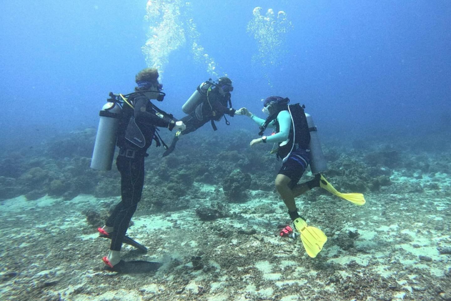 NEW WAVE DIVERS