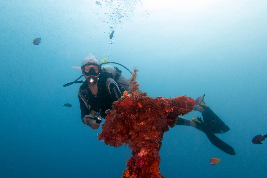 NEW WAVE DIVERS