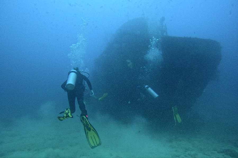 NEW WAVE DIVERS