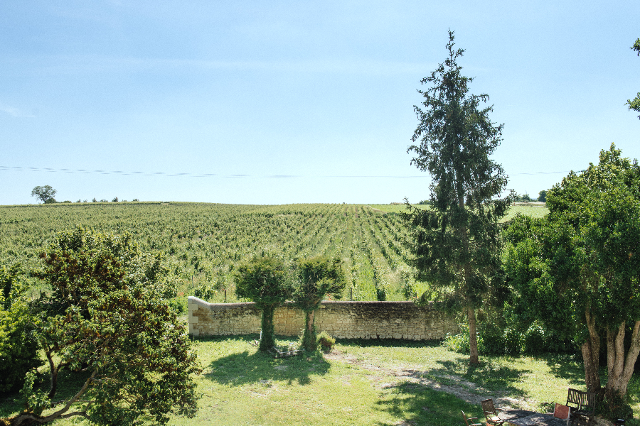 Colline de l'Enchentoir