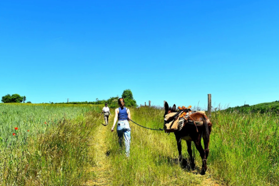 Passage dans les prés avec D'Jando