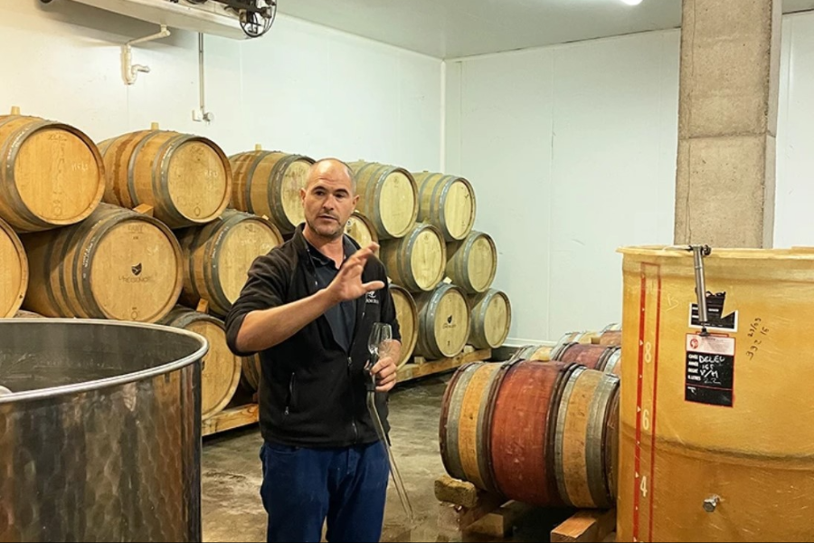 VIGNOBLE DELEU