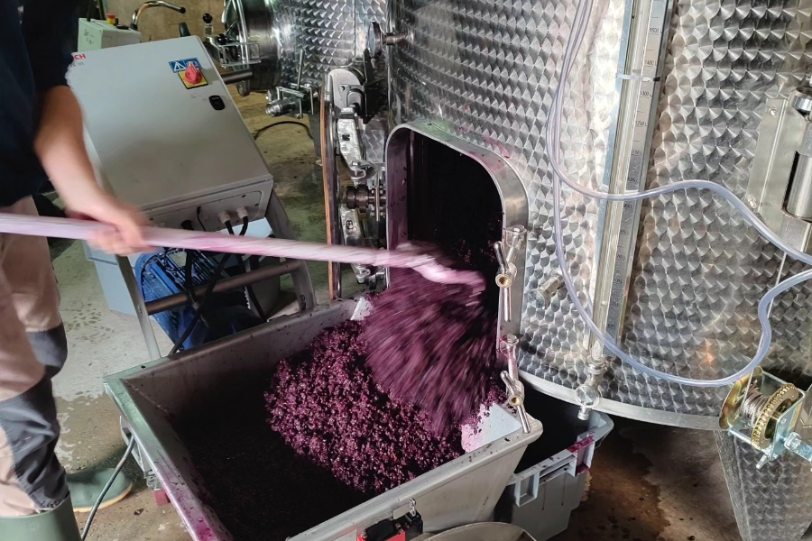 VIGNOBLE DELEU