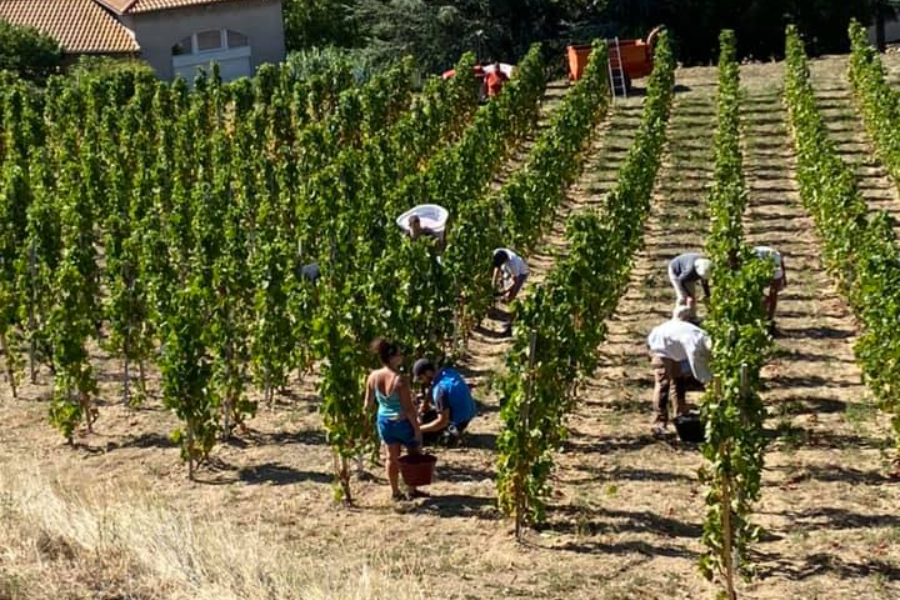 DOMAINE DEGACHE FRERES