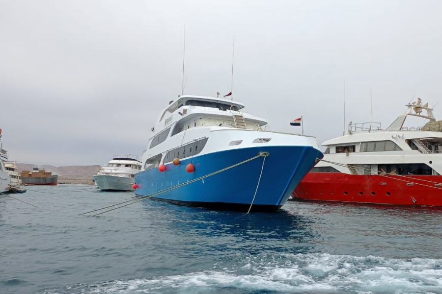 BIG BLUE DIVING CLUB