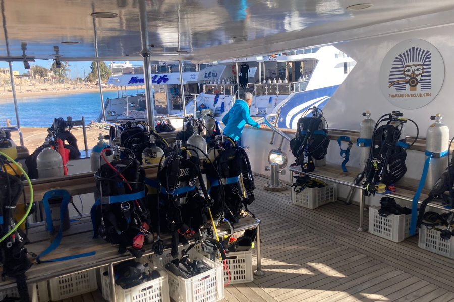 BIG BLUE DIVING CLUB