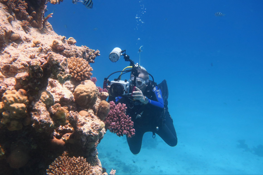 BIG BLUE DIVING CLUB