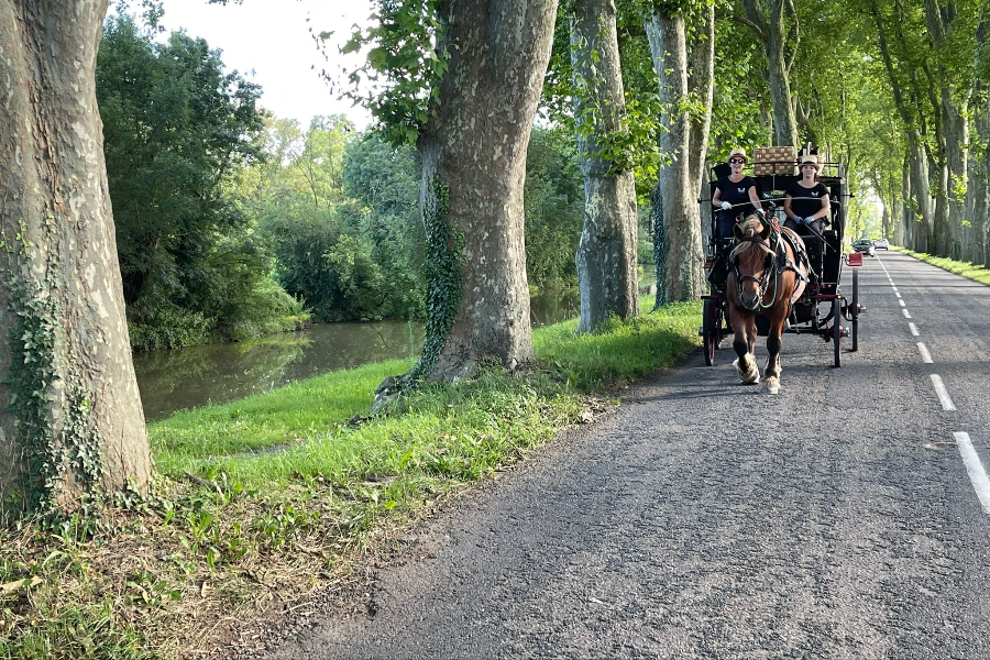 VAL DE SAONE CENTRE TOURISME