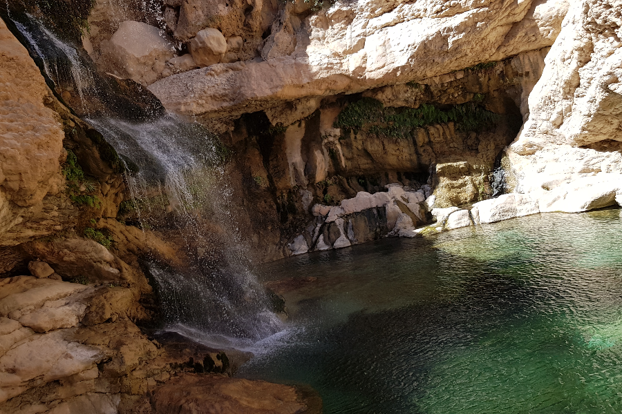 Wadi Arbieen