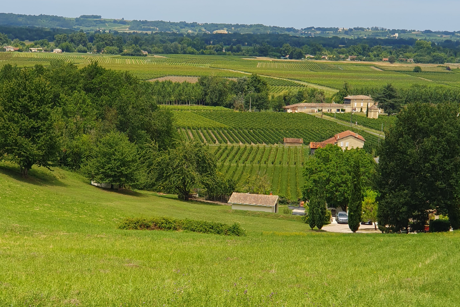 Vue du plateau