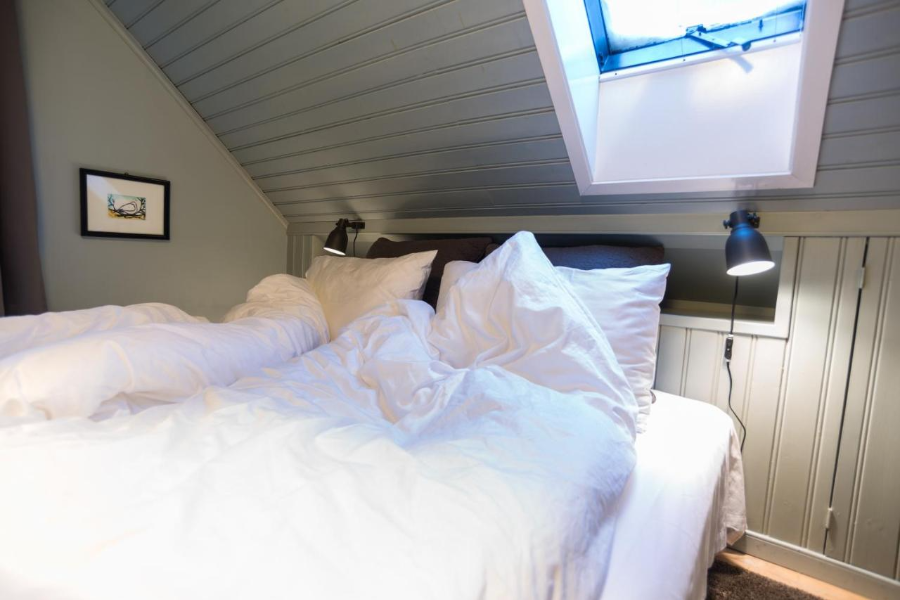 REYKJAVIK TREASURE B&B